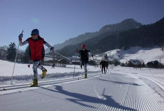 Realp-Andermatt 3,5 Locali Giardino Privato In Mezzo La Natura, Spettacolare Per Appassionati Montanbike, Pesca Ecc In Inverno Fai Sci Di Fondo Dal Giardino E Con Il Treno Davanti A Casa Si Raggiunge In 5Min Il Comprensorio Scistico Di Andermatt Buitenkant foto