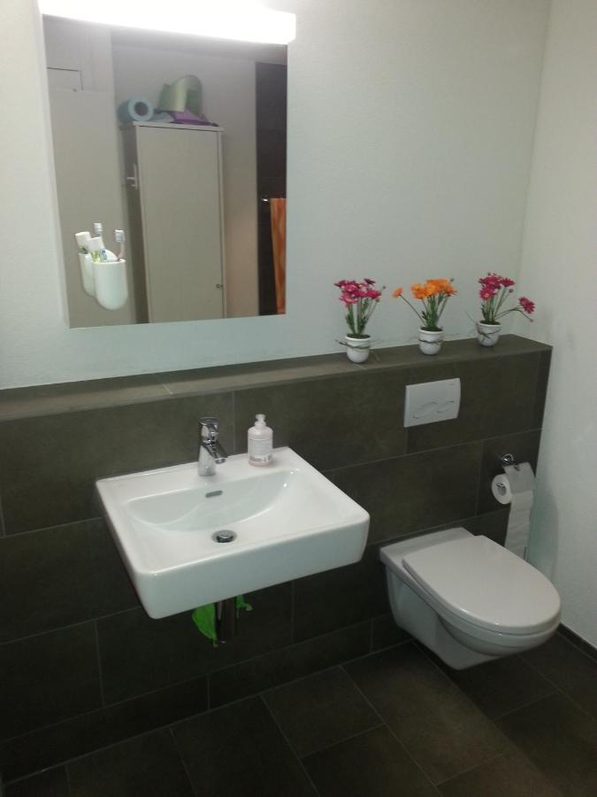 Realp-Andermatt 3,5 Locali Giardino Privato In Mezzo La Natura, Spettacolare Per Appassionati Montanbike, Pesca Ecc In Inverno Fai Sci Di Fondo Dal Giardino E Con Il Treno Davanti A Casa Si Raggiunge In 5Min Il Comprensorio Scistico Di Andermatt Buitenkant foto